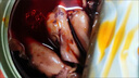 海進(jìn)士麻辣海鮮罐頭熟食八爪魚(yú)熟食鮑魚(yú)即食網(wǎng)紅零食大禮包小吃下飯菜 八爪+鮑魚(yú)+扇貝+海兔+蛤肉+魷魚(yú) 曬單實(shí)拍圖