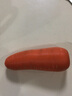 禾人 胡蘿卜 火鍋食材 紅蘿卜甘荀 新鮮蔬菜 500g 曬單實拍圖