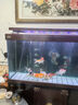 魚(yú)之眼魚(yú)缸氣泡條氧氣條氣石瀑布式氣泡石增氧頭氣簾增氧條自重沉底 120cm砂條和氣泵套餐 曬單實(shí)拍圖
