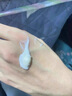 形象美維生素E乳精華乳補(bǔ)水保濕柔潤(rùn)肌膚提亮膚色清爽不油膩全身可用 一瓶體驗(yàn)裝 曬單實(shí)拍圖