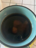 斯諾德四味化湯化茶結烏梅威靈仙白僵蠶炒薏苡仁薏代茶飲杜氏四物湯 龜甲膠一片 曬單實(shí)拍圖