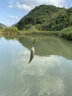 哈斯達(dá)（HISTAR）魔杖路亞竿套裝蟲(chóng)竿黑坑鱖魚(yú)鱸魚(yú)超快調(diào)魔丸水滴輪路亞竿全套魚(yú)竿 1.95米 L調(diào)直柄E系列雙線杯紡車(chē)輪 曬單實(shí)拍圖