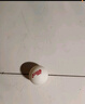 紅雙喜乒乓球室內娛樂(lè )訓練球一星二星3星賽頂白色黃色一箱120/180只裝 賽頂三星球白色（5只散裝） 曬單實(shí)拍圖