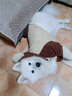 醫(yī)仕高骨骼寶鯊魚軟骨素狗狗腿瘸金毛泰迪犬健骨補鈣關節(jié)軟骨素狗 【動作不利索】260g 曬單實拍圖