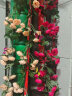 盛世泰堡 仿真玫瑰塑料花藤装饰花假花绿植装饰空调管道布置 69头香槟色 实拍图
