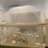 棒棒豬(BabyBBZ)蒙古包蚊帳床圍欄嬰兒防摔床邊護(hù)欄兒童防掉床加高4面裝 【蒙古包蚊帳款】 四面裝 攀攀熊 【1.8米床型】1.8米*2+2.0米*2 曬單實(shí)拍圖