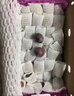 西域美農 西梅皇后新疆伽師新鮮西梅 法蘭西西梅 單果16-25g生鮮新鮮水果 中果新疆西梅 3斤裝 單果16-20g+ 曬單實(shí)拍圖
