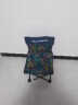 比尔傲威钓鱼椅折叠椅子美术生写生椅露营沙滩椅火车板凳便携马扎小凳子 【豪华升级款】特大号（树叶蓝） 实拍图