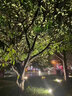朋科 太陽能燈 照樹燈投射草坪燈超亮戶外公園景觀亮化專用插地射樹燈 100W 暖光  建議安裝樹高3米內(nèi) 曬單實(shí)拍圖