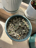 塘泥 養龜 池塘魚(yú)塘泥土 營(yíng)養土種菜種花睡蓮泥巴 花園種植土 方塊塘泥20斤/袋限廣東地區 曬單實(shí)拍圖