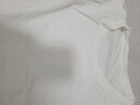 丹語(yǔ)80支雙面絲光棉短袖t恤女春夏款女裝今年新款圓領(lǐng)純棉半袖t體恤 白色 S 曬單實(shí)拍圖