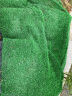萌肉居 仿真草坪加密假草人造假草皮塑料绿色地毯围挡户外室内幼儿园操场装饰草人工草坪（30mm夏草/平方） 实拍图