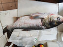 富源百川 江湖至尊主線(xiàn)組成品魚(yú)線(xiàn)綁好的主線(xiàn)方便線(xiàn)組全套釣魚(yú)線(xiàn)組臺釣 7.2m 其他 2卷裝競技線(xiàn)組 5.0號 曬單實(shí)拍圖