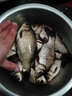川澤路滑磯竿滑漂釣組套裝日夜兩用遠(yuǎn)投夜光浮漂線組成品魚漂套裝 3.0#路滑線組+PC02-2三角尾鉛8克 日夜兩用不變色 曬單實(shí)拍圖