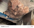 上鲜 鸡翅根 1.5kg 冷冻 出口级 鸡翅鸡腿烤鸡翅炸鸡翅根清真食品 实拍图