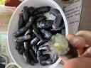 【順豐】金手指黑提 新鮮藍寶石手指葡萄 新鮮水果 一級 2-3串【共4-4.5斤】 曬單實拍圖
