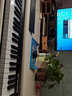 M-AUDIO Keystation61 MK3 MIDI鍵盤(pán) 專(zhuān)業(yè)半配重61/88鍵音樂(lè )編曲鍵盤(pán)49鍵 61鍵【Keystation61+琴包+琴架】 曬單實(shí)拍圖