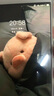vivo X9\X9Plus 二手手機(jī) 全面屏智能安卓 游戲手機(jī)工作備用機(jī) 金色 4GB+64GB 9成新 曬單實拍圖