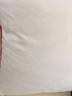 詩貝妮天然純蠶絲枕頭枕芯100%桑蠶絲舒適睡眠家用全棉成人兒童枕 單只 成人偏低(47x74)蠶絲500克 曬單實拍圖