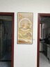 美優(yōu)淳九魚玄關裝飾畫現(xiàn)代輕奢入戶走廊過道掛畫高級感福鹿進門led燈壁 JD13524 50*100(建議0.7米-0.8米的墻面) 紋理油畫布ps金框 曬單實拍圖