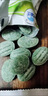 優(yōu)迪王強(qiáng)力膽鈣化醇老鼠藥顆粒家用滅鼠驅(qū)鼠捕鼠藥器耗子藥滅鼠藥一鍋端 100g*1 曬單實(shí)拍圖