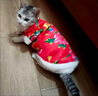 阿莫爾貓咪衣服保暖小貓貓衣服狗狗衣服過(guò)年冬天德文布偶貓蛇年寵物服裝 東北大花唐裝(加厚加絨兩腳衣) XL (具體參考身長(zhǎng)和胸圍) 曬單實(shí)拍圖