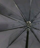 天堂 防紫外线晴雨伞长柄 半自动超大10骨加固商务伞 黑色 实拍图