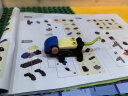 布鲁可 小颗粒拼装积木玩具生日礼物创造大师系列-探险之旅 实拍图