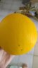 綠相憶現(xiàn)摘民勤蜜瓜頭茬蜜瓜 新鮮應(yīng)季生鮮水果金紅寶銀蒂蜜瓜整箱 金紅寶凈重8-9斤【推薦裝】 曬單實(shí)拍圖