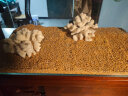 鹰涵鱼缸底砂鼠鱼沙雨林沙珊瑚沙水草沙水晶砂化妆沙黄金沙水族箱造景 黄金沙菊花黄（1-2毫米）5斤装 实拍图