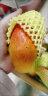 京鲜生 海南老树贵妃芒 5斤 单果150g起 红金龙 芒果 当季水果 源头直发 实拍图