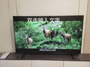三星（SAMSUNG）4K超高清HDR 超薄電視 120HZ高刷 3+64G內存 手機投屏 無(wú)開(kāi)機廣告 智能網(wǎng)絡(luò )平板液晶電視機75英寸 120HZ高刷 3+64內存 曬單實(shí)拍圖