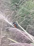 萊琥車載香薰出風(fēng)口香水汽車用品香氛片固體香膏車內(nèi)除異味空氣清新劑 沃爾沃XC60XC90S90S60 1g 曬單實(shí)拍圖