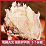 【活蟹】網(wǎng)兜蟹遼寧盤錦河蟹稻田河蟹禮盒六月黃大螃蟹鮮活大閘蟹 六月黃1.2-1.4兩【4斤】29-34只 曬單實拍圖