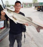 熊火路亞餌米諾假餌套裝超遠投浮水沉水米諾翹嘴鱸魚(yú)通殺海釣魚(yú)餌 浮水來(lái)諾3.9g/5cm【6只】 曬單實(shí)拍圖