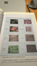 宝视德（bresser）显微镜配件生物标本玻片科普教学微生物动植物昆虫切片100片装 实拍图