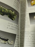 中國古玉器鑒定叢書(shū)（套裝共4冊） 古玉的雕工+古玉的玉料+古玉的辨偽與鑒定+古玉的器形與紋飾  文物出版社 曬單實(shí)拍圖