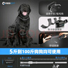 ABBIDOT防止狗叫止吠器狗狗電擊項圈遙控手動訓(xùn)練大型中型小型犬訓(xùn)狗神器 【遙控訓(xùn)狗器T30】淺灰色 曬單實拍圖