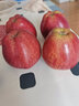 帆兒莊園順豐美國進(jìn)口紅蛇果大果紅蘋(píng)果A級+新鮮 4個(gè)裝 曬單實(shí)拍圖