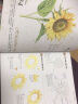 花之绘：38种花的色铅笔图绘 实拍图