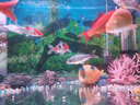 boxtech魚缸加熱棒恒溫器水族箱加熱增溫石英加熱器熱帶魚控溫器材迷你小 石英防爆加熱棒100瓦 曬單實(shí)拍圖