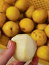 鮮姿 正宗鞍山南果梨南國梨金南果東北特產(chǎn)秋梨香水梨新鮮水果 品質(zhì)中果約30枚（凈重4.5-4.8斤） 曬單實拍圖