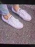 匡威（Converse）中性Chuck Taylor CORE低幫系帶帆布鞋/硫化鞋 101000 43 曬單實拍圖