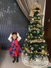 垂繡圣誕樹(shù)加密圣誕樹(shù)套餐圣誕擺件酒店商場(chǎng)節日裝飾擺件圣誕節裝飾品 1.5米麻布系圣誕樹(shù)套裝 樹(shù)+掛件+燈（不含地上擺件） 曬單實(shí)拍圖