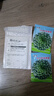 黑心烏菜種子四季耐寒青菜烏塌菜種子籽正品秋冬黑菜大葉烏塌菜籽 青烏塌菜種子 優(yōu)選種子二包 曬單實(shí)拍圖