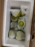 舅甜果蔬古田油奈李【現貨/順豐】新鮮水果青布林奈李特大果空心脫骨李子 嚴選特大果（20個(gè)以?xún)龋?5斤 曬單實(shí)拍圖