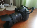 尼康（Nikon） D7500單反相機(jī) 數(shù)碼相機(jī) 入門(mén)單反照相機(jī)可搭18-140/單機(jī)身 D7500機(jī)身+AF-S 24-120拆機(jī)鏡頭 曬單實(shí)拍圖