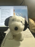 Nakajima Corporation史努比snoopy PEANUTS FUWAKUTA年代復古公仔玩具生日禮物 曬單實(shí)拍圖