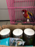 威毕鹦鹉鸟用饮水器小鸟鸟笼芦丁鸡自动下料喂鸟器喂食喂水壶鸟食食盒 绿鸟饮（大号）三色随机发 实拍图