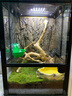 REPTIZOO陸龜飼養箱爬寵缸鬃獅變色龍蜥蜴守宮玻璃爬缸爬蟲(chóng)箱【RK飼養缸】 30*30*45CM 【RK0102NS】 曬單實(shí)拍圖